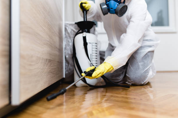 Best Pest Prevention Services  in North Arlington, NJ