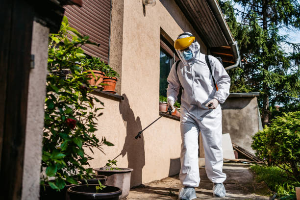 Best Rat Extermination Near Me  in North Arlington, NJ