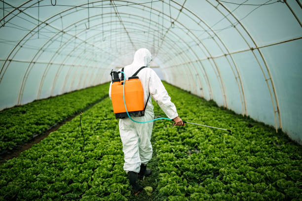 Best Best Pest Control Near Me  in North Arlington, NJ