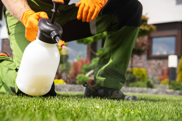 Best Local Pest Control Services  in North Arlington, NJ