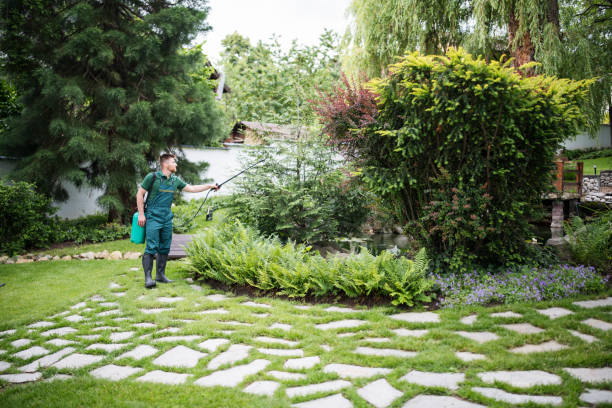 Best Affordable Pest Control Services  in North Arlington, NJ