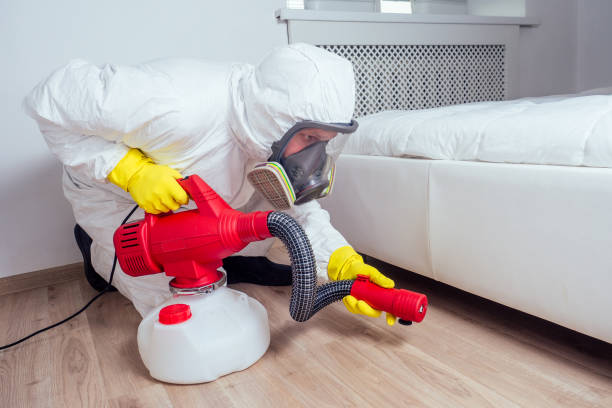 Professional Pest Control in North Arlington, NJ
