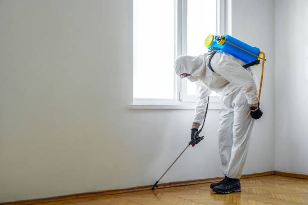 Best Wasp Removal Services  in North Arlington, NJ