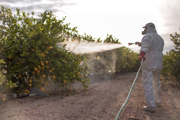 Best Pest Control Near Me in North Arlington, NJ