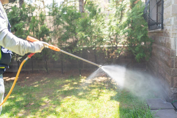 Best Flea Control Services  in North Arlington, NJ