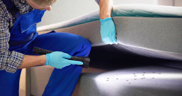 Best Exterminator Services  in North Arlington, NJ