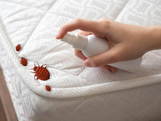 Best Best Pest Control Companies  in North Arlington, NJ